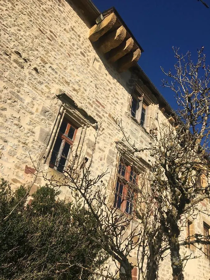Le Chateau De Lunel Saint-Felix-de-Lunel Bed & Breakfast
